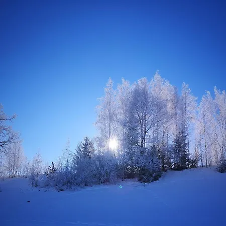 Bergstätter Hof * Immenstadt im Allgäu