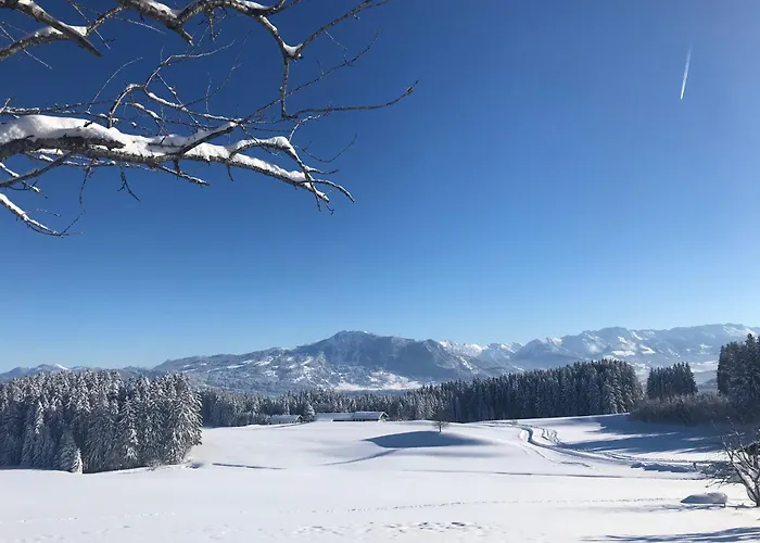 Bergstaetter Hof ホテル *